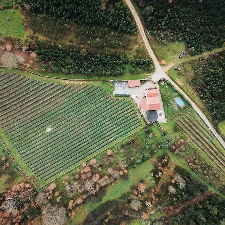דירות סייה Quinta Vale Salgueiro מראה חיצוני תמונה
