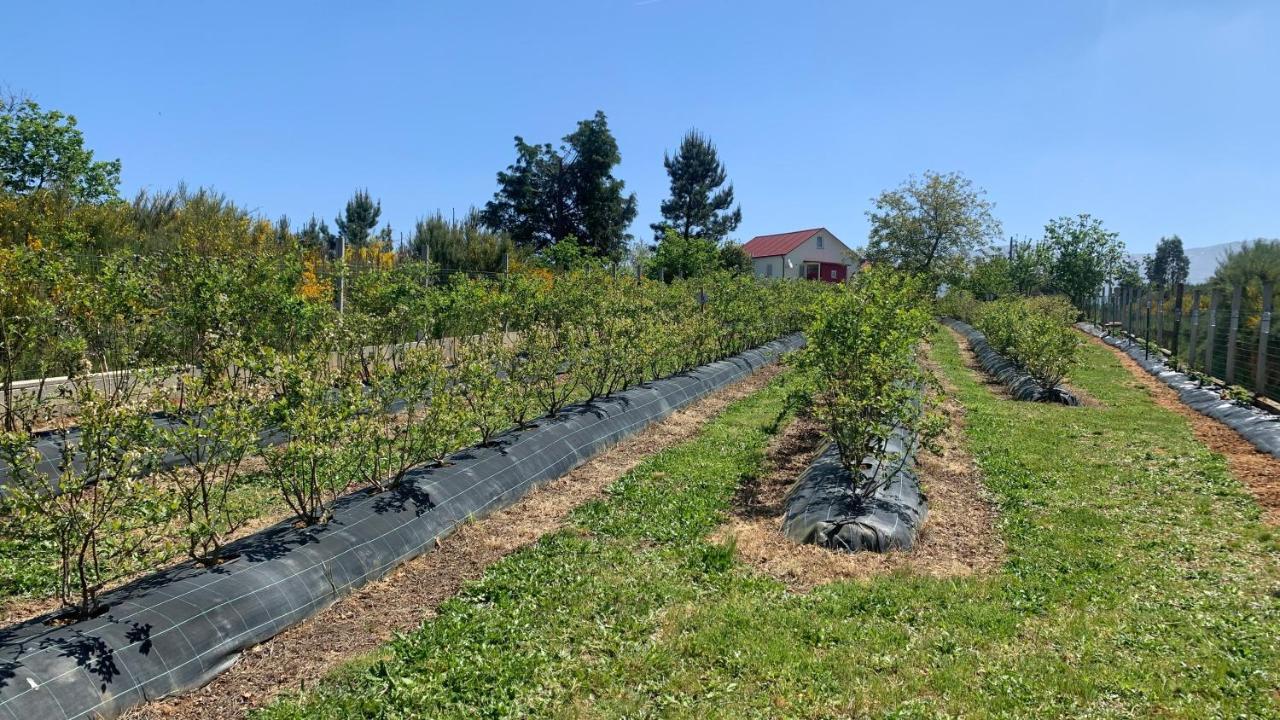 דירות סייה Quinta Vale Salgueiro מראה חיצוני תמונה