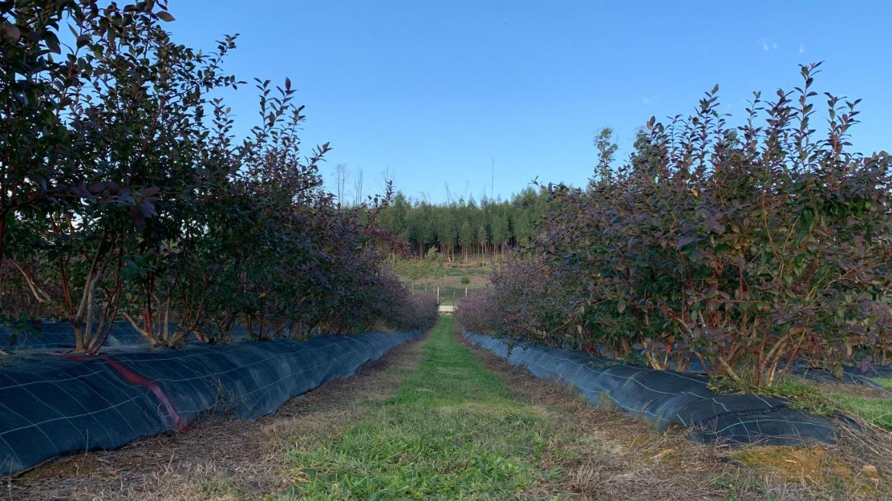 דירות סייה Quinta Vale Salgueiro מראה חיצוני תמונה