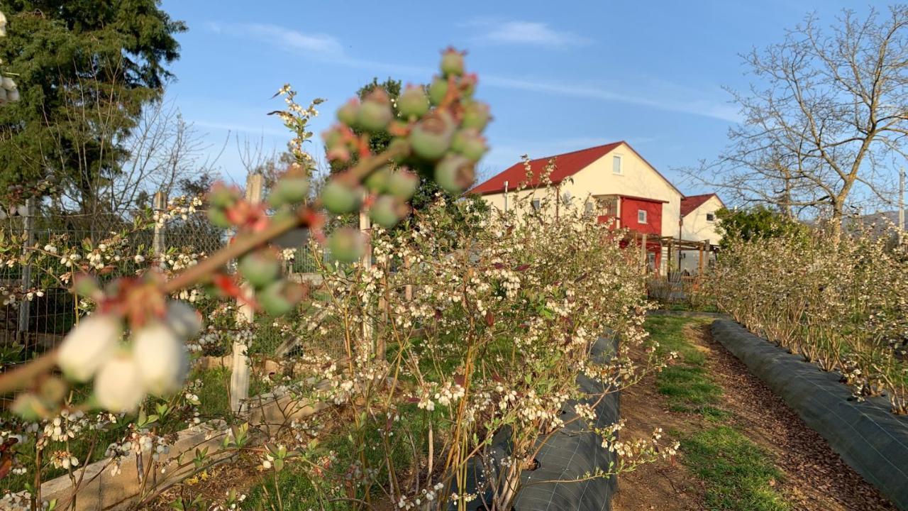 דירות סייה Quinta Vale Salgueiro מראה חיצוני תמונה