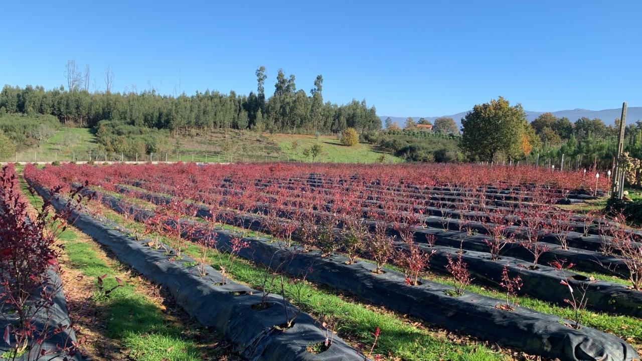 דירות סייה Quinta Vale Salgueiro מראה חיצוני תמונה