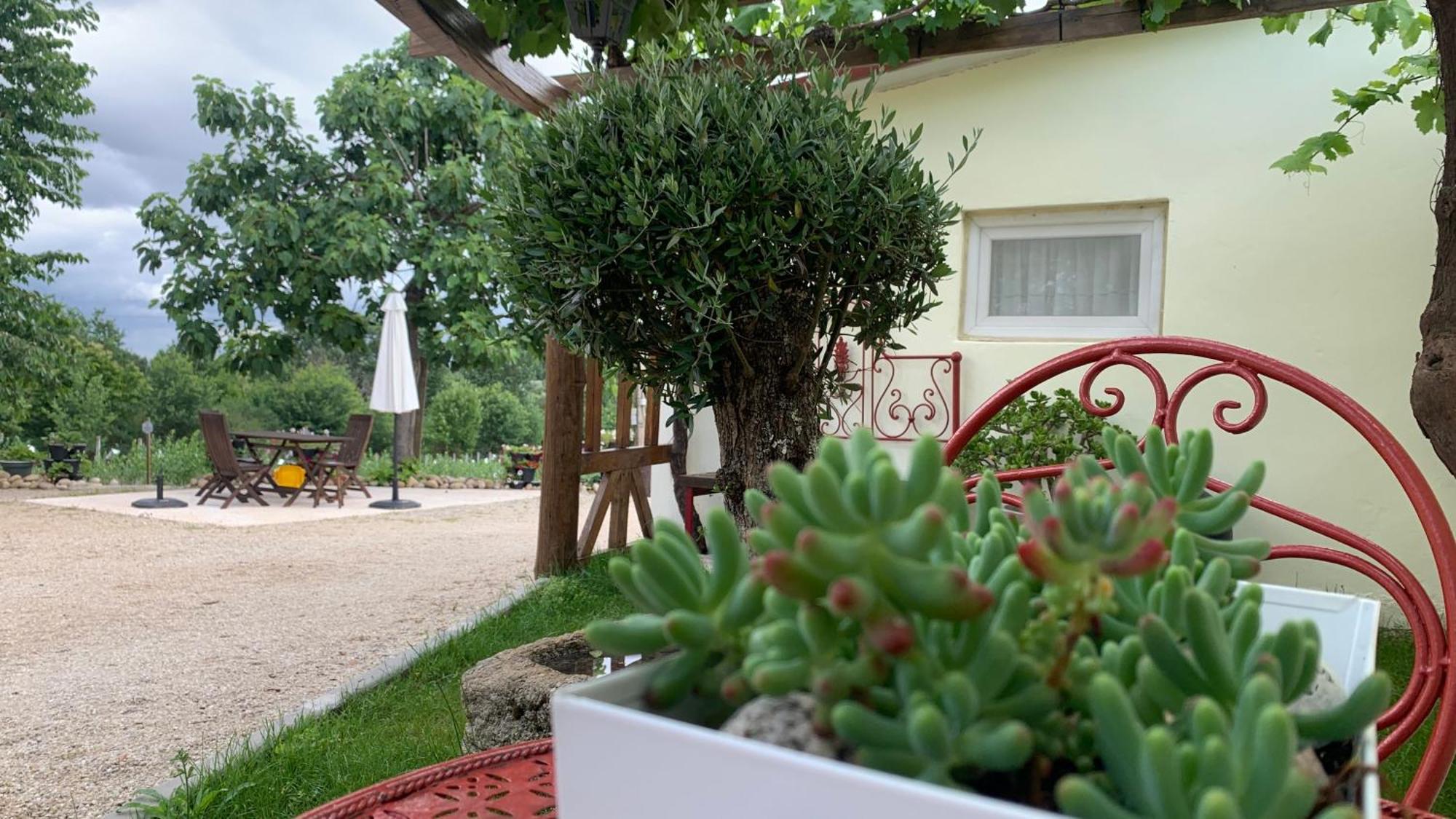 דירות סייה Quinta Vale Salgueiro מראה חיצוני תמונה